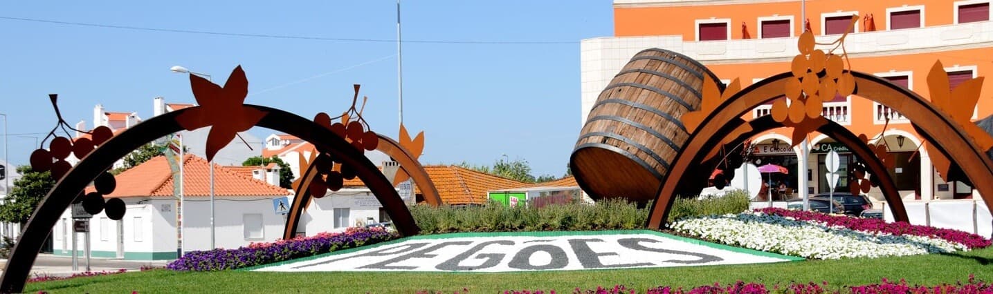 Observatório Local de Migrações do Montijo - Pegões